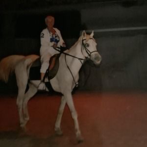 Meet your Posher, Donna